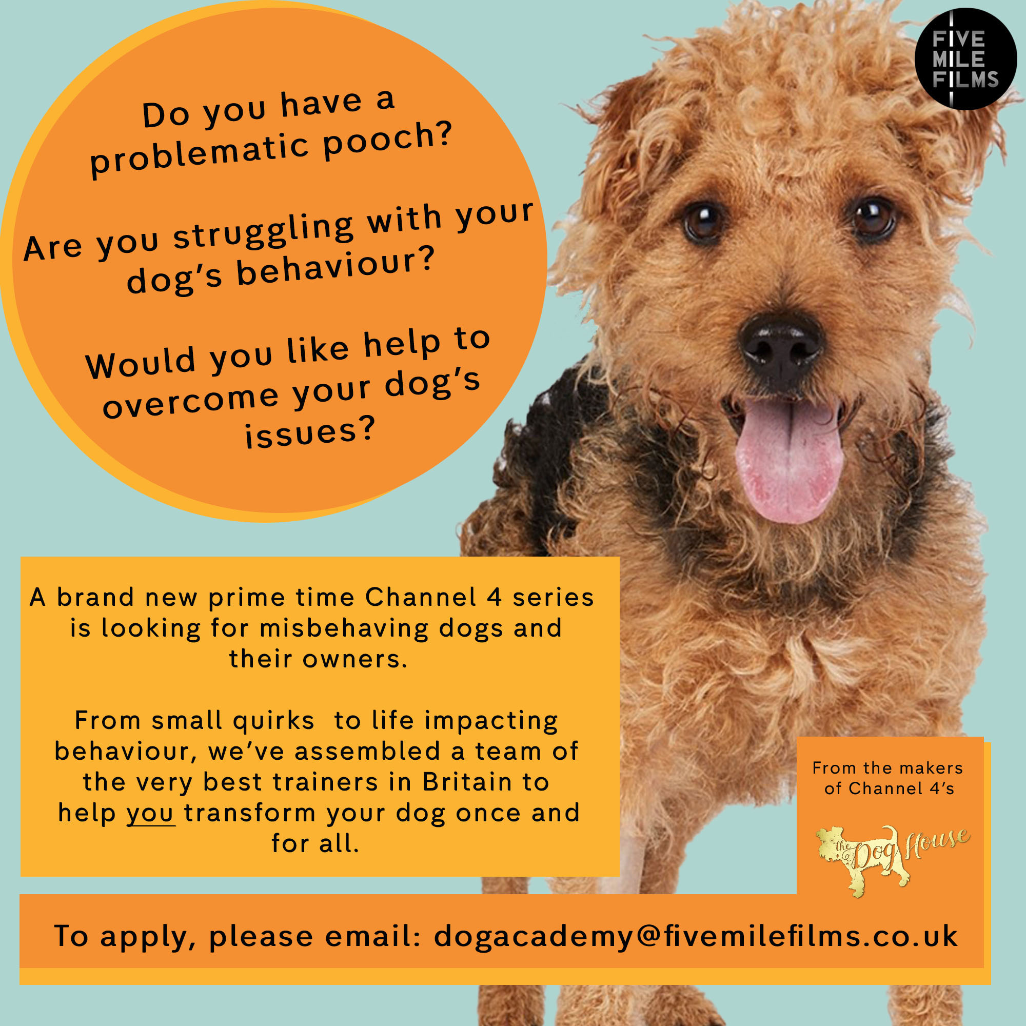 Do you have a problematic pooch? Are you struggling with your dog's behaviour? Would you like help to overcome your dog's issues? A brand new prime time channel 4 series is looking for misbehaving dogs and their owners. From small quirks, to life impacting behaviours, we've assembled a team of the very best trainers in Britain to help you transform your dog once and for all. To apply, please email: dogacademy@fivemilefilms.co.uk. From the makers of Dog House.