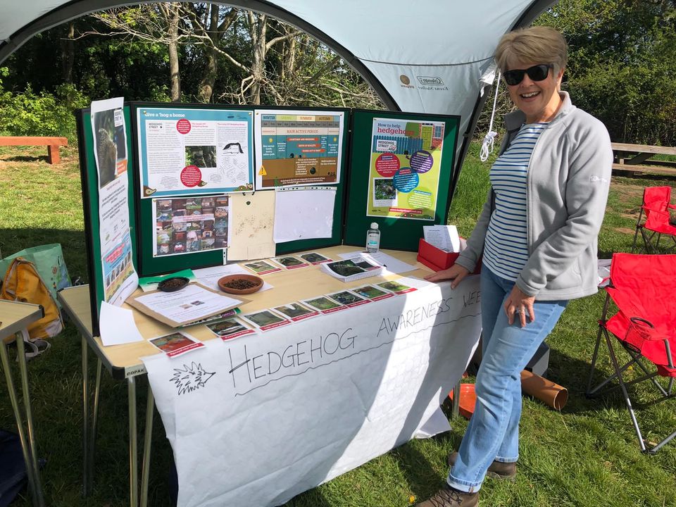 Photograph of a person standing beneath a white gazebo. They are standing beside a table covered in information about hedgehogs.