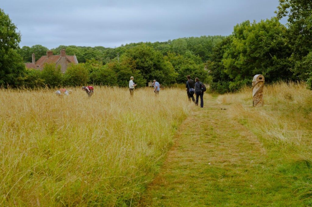 Wide shot of the hay meadow. Five or six people stand in the distance, some leaning down looking at the grasses.