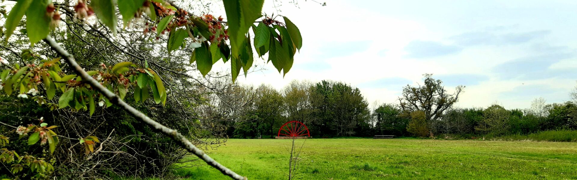 A photograph of Centenary Field, a large, green meadow bounded by trees.