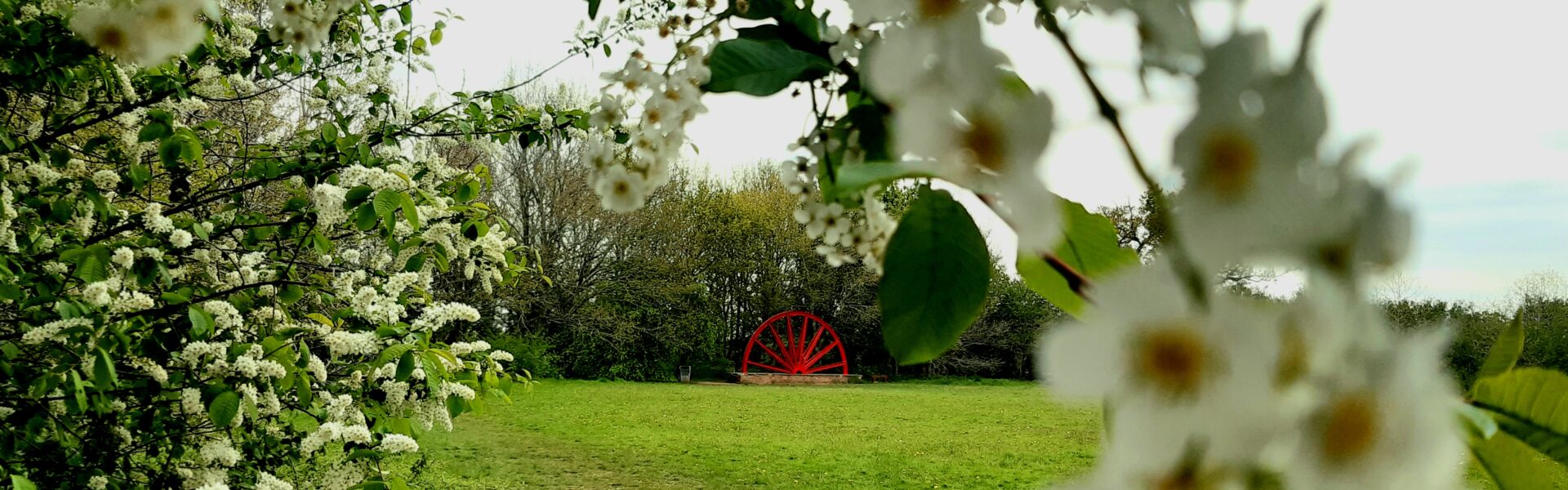 A photograph of a blossoming bower in the foreground, through which, in the background, can be seen a meadow field with a large red half-wheel at the far end of the meadow,