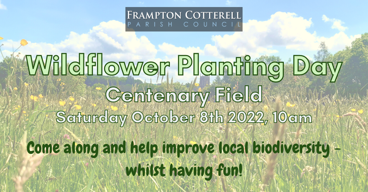 Wildflower Planting Day – Saturday October 8th 2022