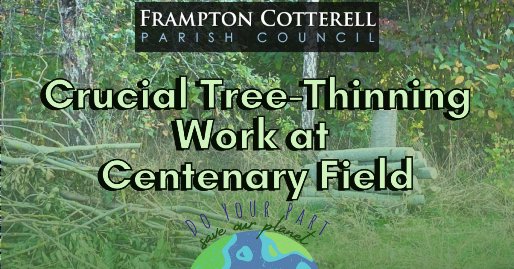 Frampton Cotterell Parish Council. Crucial Tree-thinning work at Centenary Field. Do your part, save our planet.