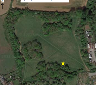 pond location indicated by star, which is on the Mill Lane side of the Centenary Field 
