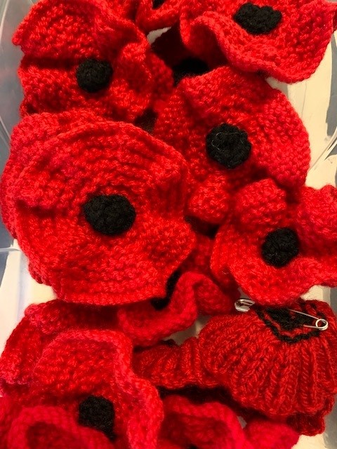 Knitted poppy pin badges made by volunteers.