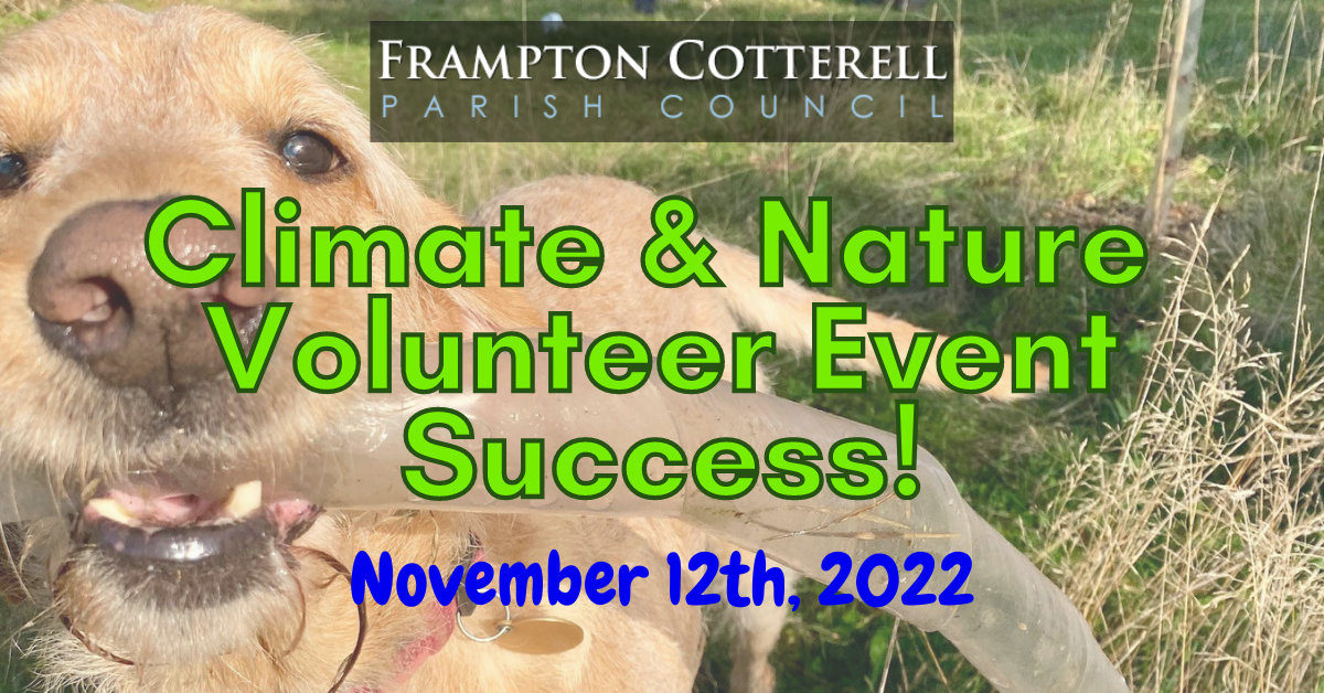 November Volunteer Event – Success!
