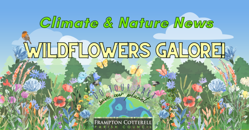 Climate & Nature News / Wildflowers Galore! / Do your part, save our planet / Frampton Cotterell Parish Council