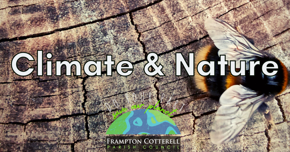 Climate & Nature. Do your part, save our planet. Frampton Cotterell Parish Council. Image of a bumble bee on a cracked wooden log.