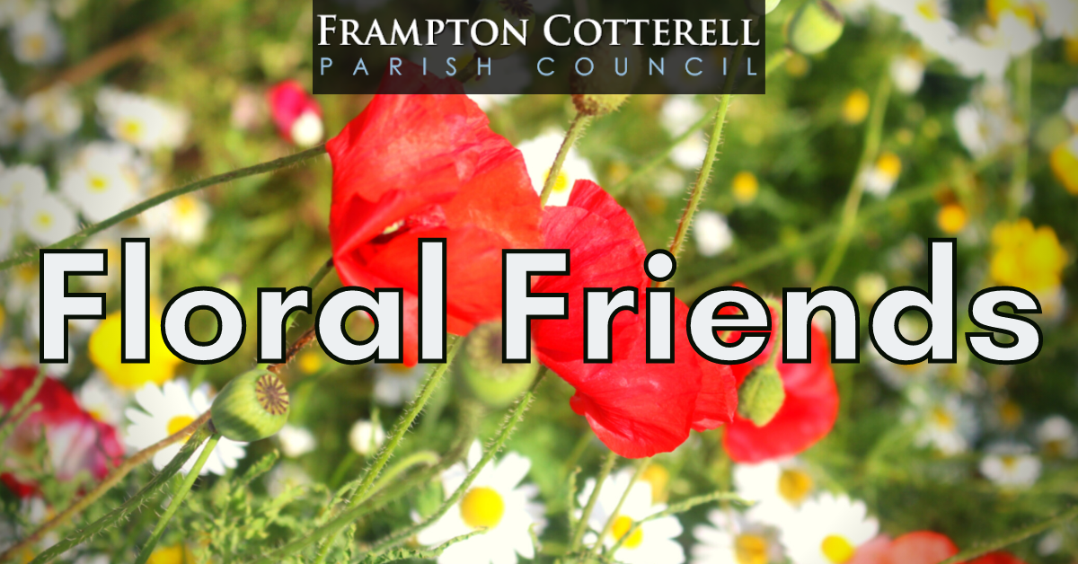 Frampton Cotterell Parish Council. Floral Friends.