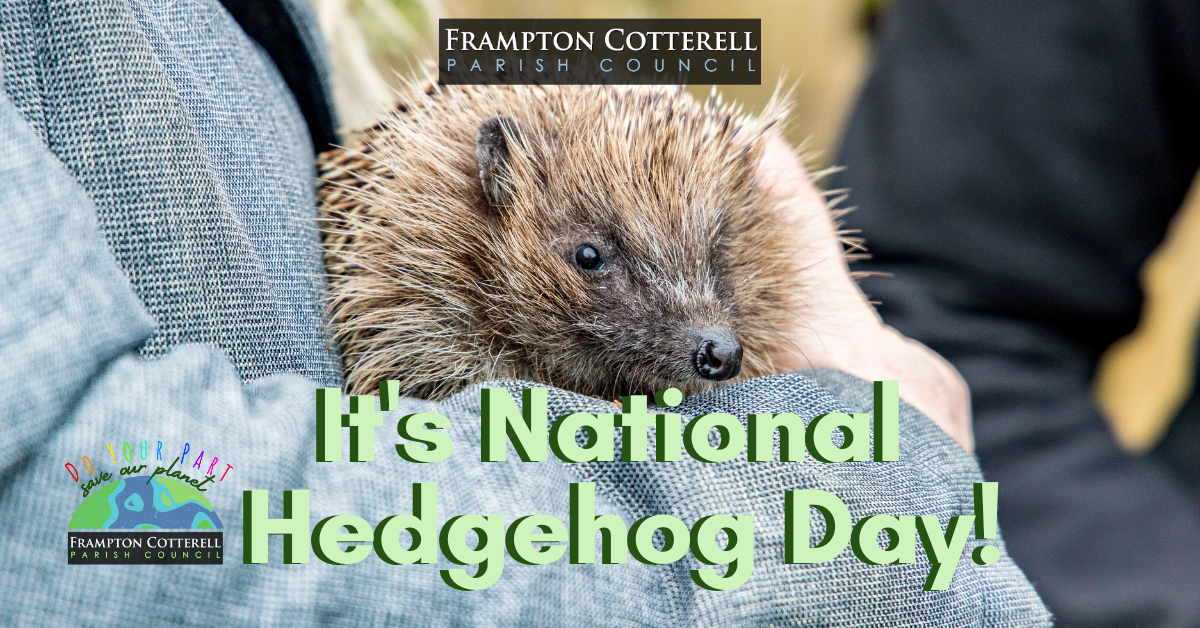 National Hedgehog Day 2023