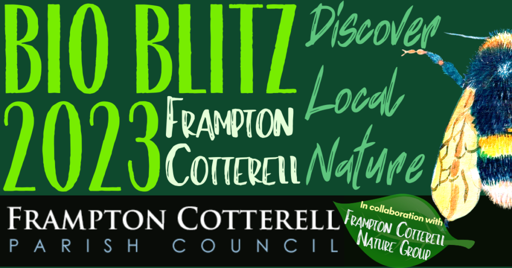 BIOBLITZ 2023 Frampton Cotterell. Discover Local Nature. Frampton Cotterell Parish Council in collaboration with Frampton Cotterell Nature Group.