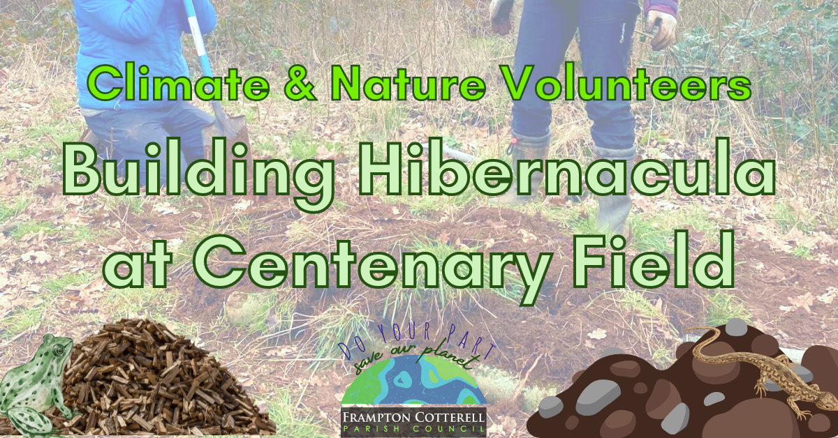 Building Hibernacula at Centenary Field – Lookback!
