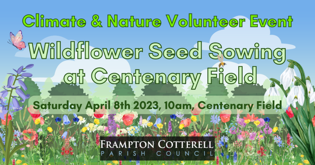 Climate & Nature Volunteer Event. Wildflower Seed Sowing at Centenary Field. Satuday April 8th 2023, 10am, Centenary Field. Frampton Cotterell Parish Council.
