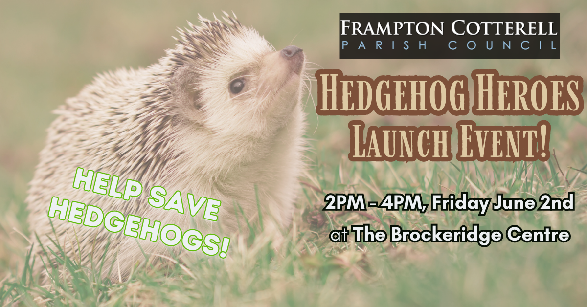 Hedgehog Heroes Launch Event
