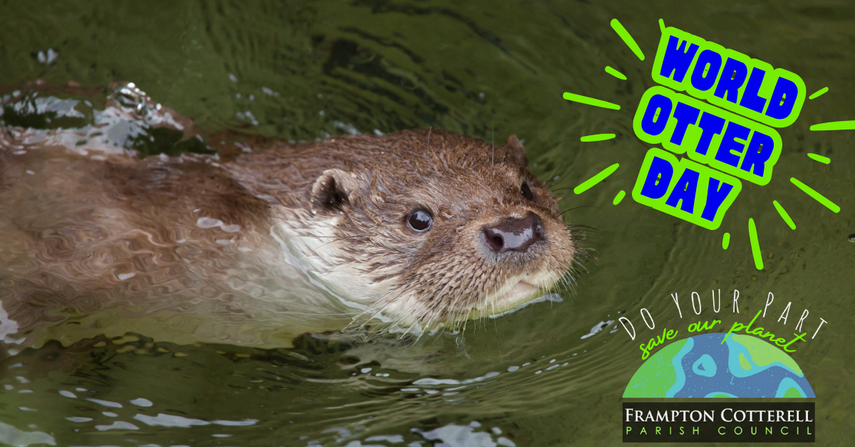 An otter swimming in a green river. . Text in upper right reads "World Otter Day". Lower right is the Frampton Cotterell Parish Council Climate & Nature logo - "Do your part, save our planet"