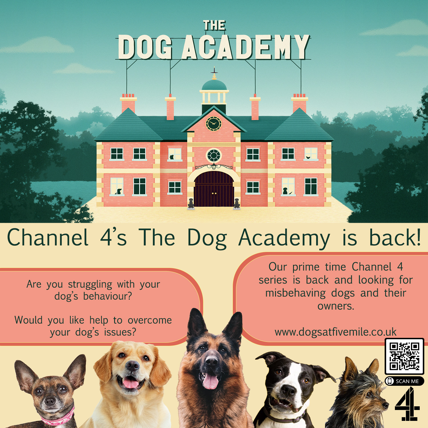 The Dog Academy. Channel 4s The Dog Academy is back! Are you struggling with your  dog's behaviour? Would you like help to overcome your dog's issues? Our prime time Channel 4 series is back and looking for misbehaving dogs and their owners. www.dogsatfivemile.co.uk