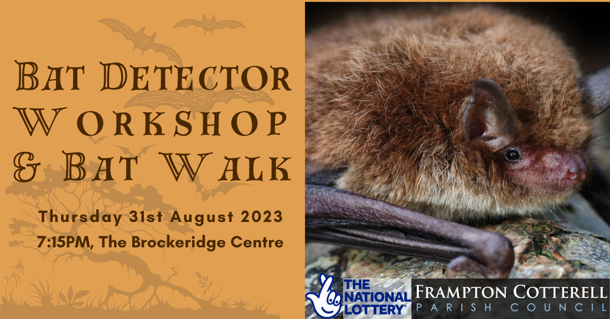 Bat Detector Workshop & Bat Walk. Thursday 31st August 2023, 7:15PM, The Brockeridge Centre. Photo of a bat. National Lottery Logo. Frampton Cotterell Parish Council logo.