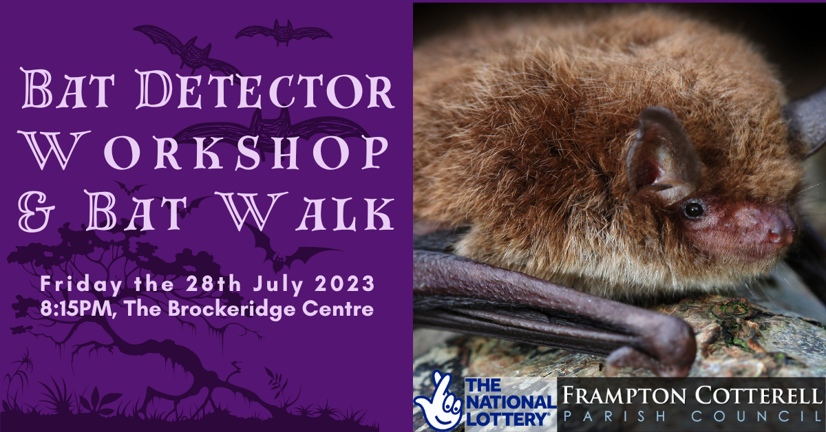 Bat Detector Workshop & Bat Walk – July 2023