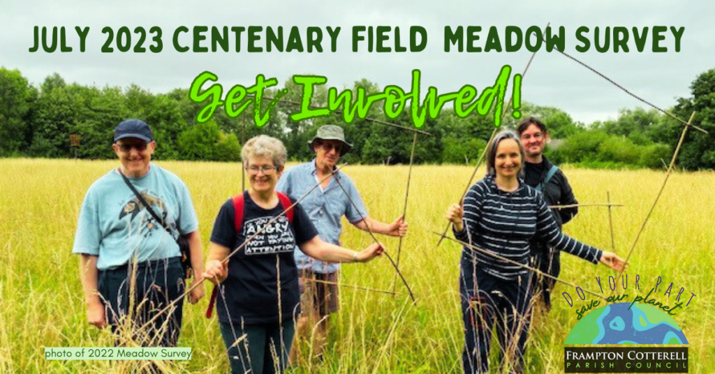A photograph of five people standing in a yellow/green meadow field of tall grass and wildflowers. They stand facing the camera and smiling, whilst holding up large squares made of four bamboo rods tied together. Text reads, "July 2023 Centenary Field Meadow Survey. Get Involved! Photo of 2022 Meadow Survey. Frampton Cotterell Parish Council: Do Your Part, Save Our Planet."
