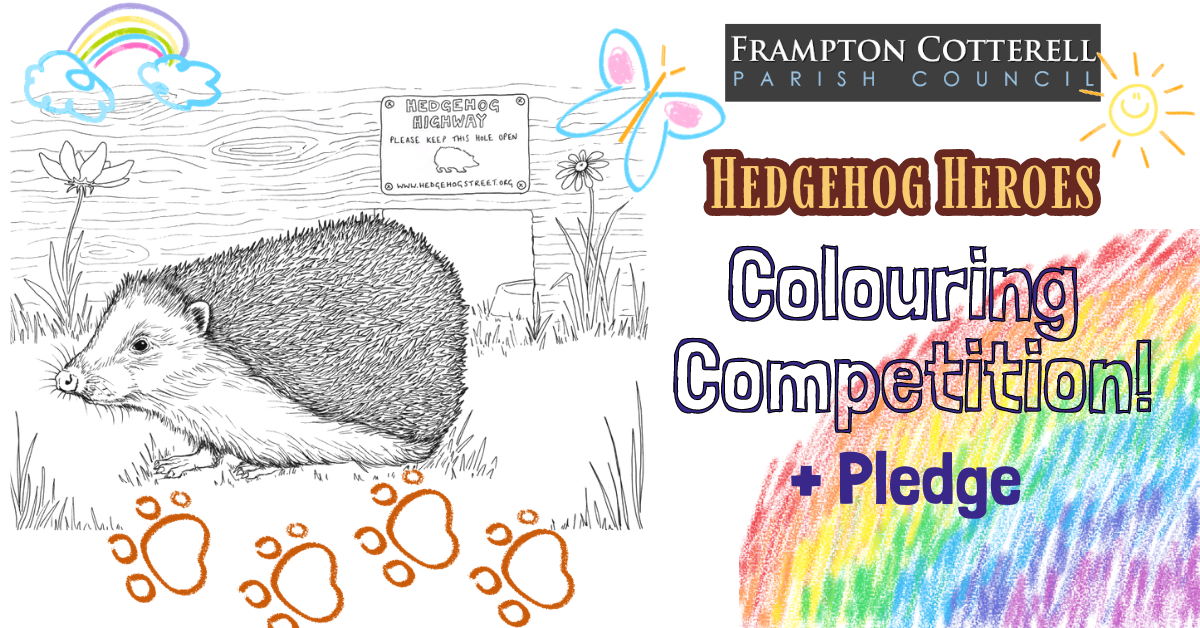Hedgehog Colouring Competition and Help Hedgehogs Pledge!