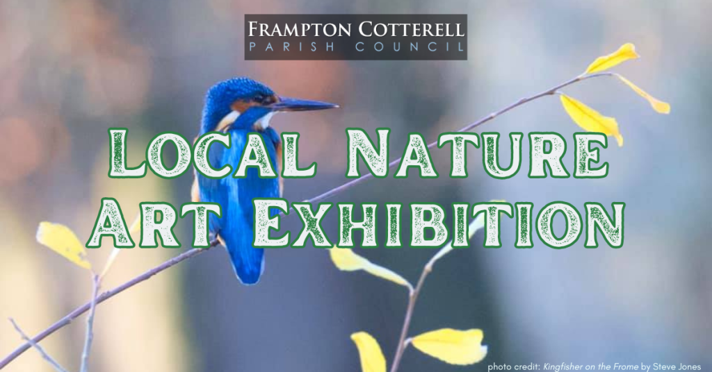 A bright blue kingfisher perched on a thin branch with a yellow leaf. Text reads, Frampton Cotterell Parish Council Local Nature Art Exhibition. Photo credit: Kingfisher on the Frome by Steve Jones