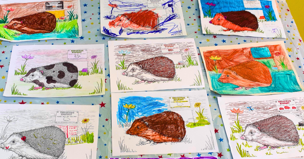 A table full of entries into the hedgehog colouring competition.