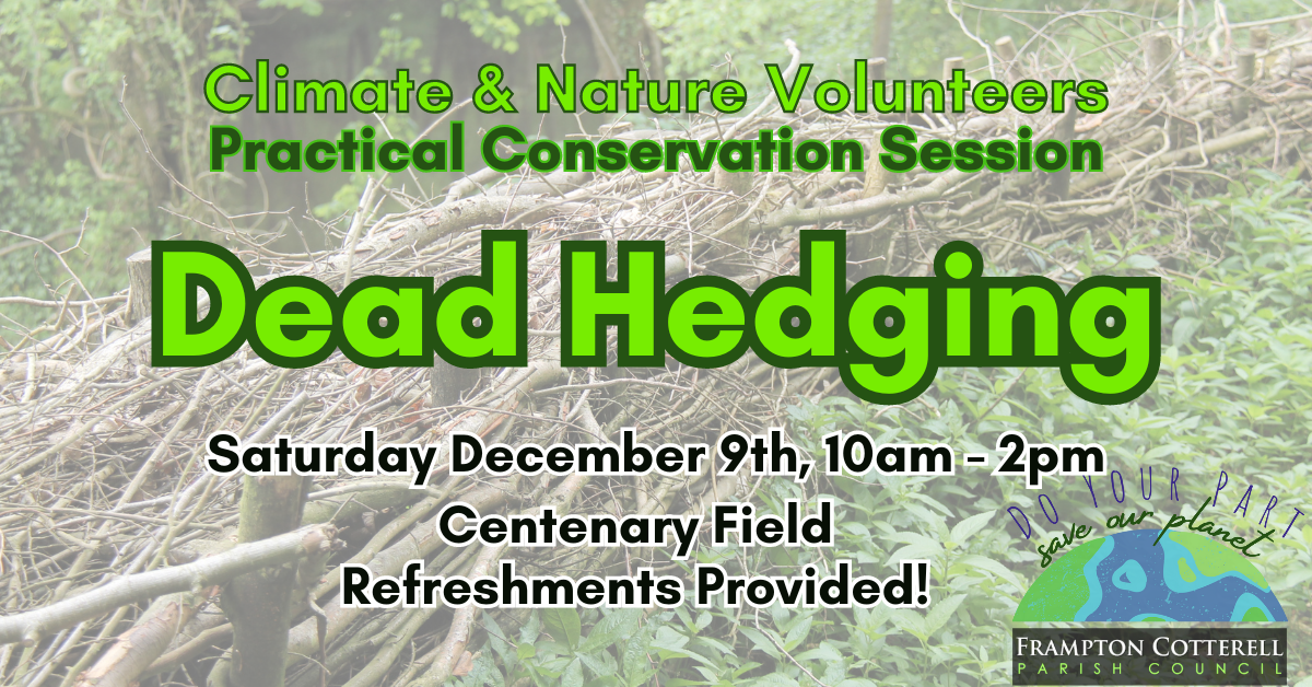 Practical Conservation Session December 2023 – Dead Hedging