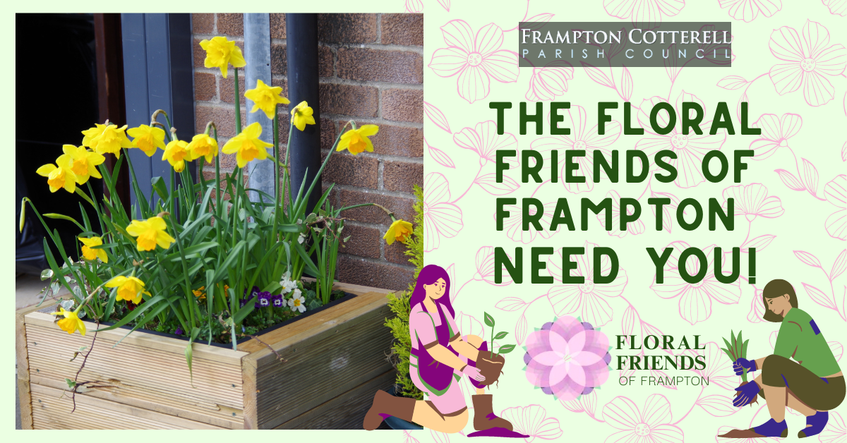The Floral Friends of Frampton Need YOU!