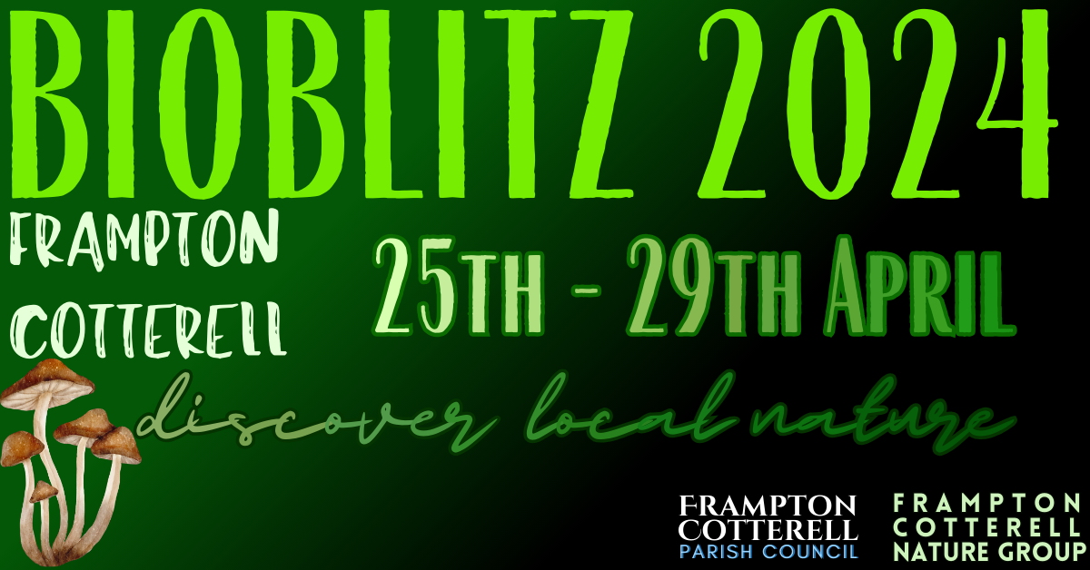 Frampton Cotterell BioBlitz 2024