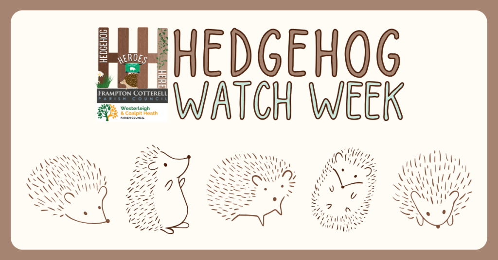 Hedgehog Watch Week. Logos for Hedgehog Heroes Here, Frampton Cotterell Parish Council, and Westerleigh & Coalpit Heath Parish Council
