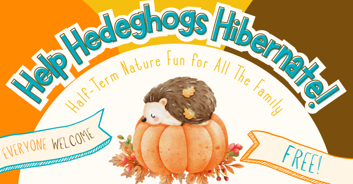 Help Hedgehogs Hibernate! Family Nature Craft Event